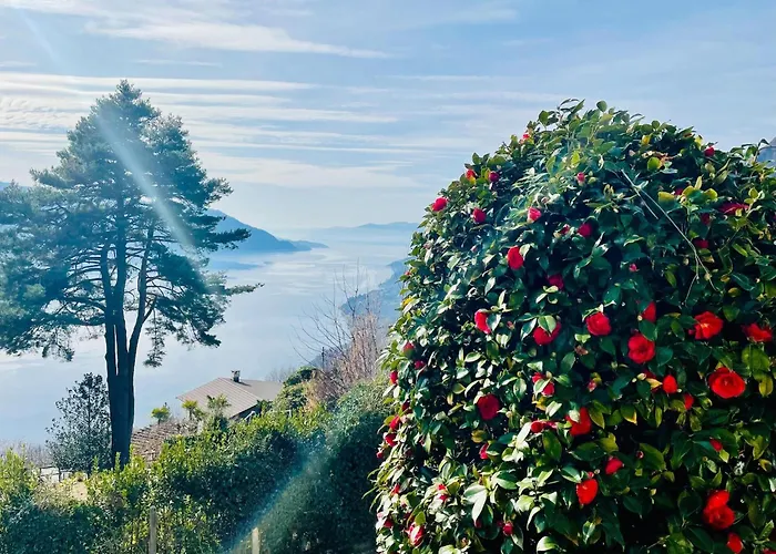 Romantic House By Maggiore With Garden